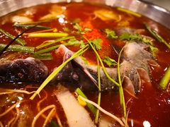 大大江团鱼-新凯里酸汤鱼(飞山街店)