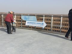 -盐城丹顶鹤湿地生态旅游区