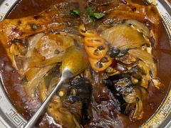 红焖南湾大鱼头-解家河南菜(商鼎路店)