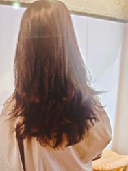 -豪斯塔美发连锁