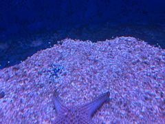 -沈阳海洋探索中心