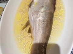 鸡汁长江白鱼-南京大牌档(济南万象城店)