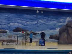 -福州罗源湾海洋世界旅游区