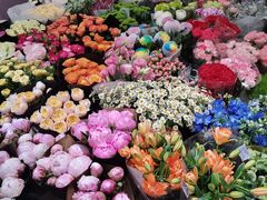-双季花艺园艺市场(浦东店)