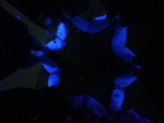 -好玩工厂密室·鹅鸭杀·桌游拼豆电玩