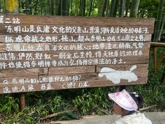 -东明山森林公园