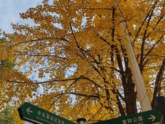 -首义路(地铁站)