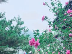 -阳台山自然风景区