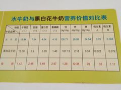 -老周记顺德双皮奶