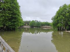 -厦门园林博览苑