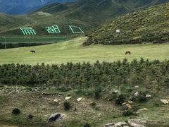 -扁都口生态休闲旅游区