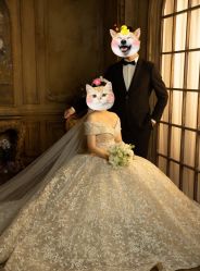 -挪娅婚纱摄影皇家会所