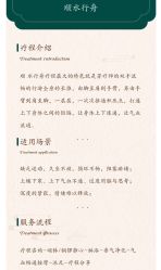 -芳香乐府疗愈空间·SPA·冥想