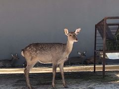 -南京金牛湖风景区