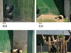 -沈阳森林动物园