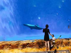 -华夏文旅海洋公园