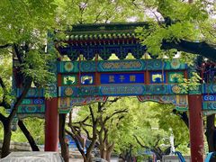 -北京国子监胡同