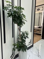 -YESIDO椰岛造型