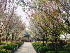 -上海望仙安息园