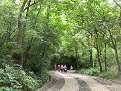 -紫金山索道-售票处