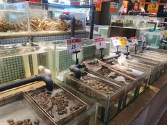 -万龙洲海鲜(南新仓店)
