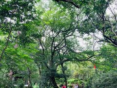 -雨花胜境