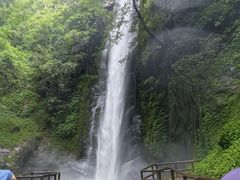 -莫里热带雨林景区