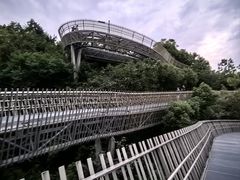 -福道