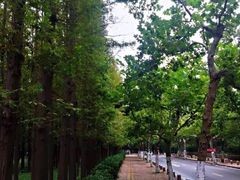 -汇泉广场