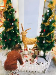 -万达宝贝王(成都锦华店)