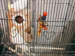 -后海16号·北京私房菜