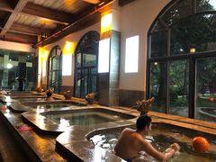 -乳源丽宫国际温泉酒店