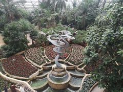 -南山植物园