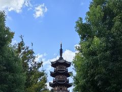 -龙华素斋(龙华路店)