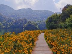 -广州市石门国家森林公园