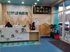 -东日国际动物医院·CT·心脏专科(桃源分院)