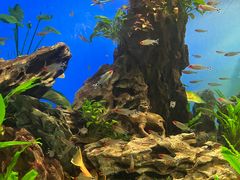 -太平洋海底世界