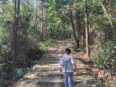 -南漈山