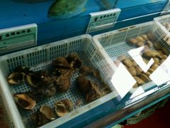 android_upload_pic-海滨假日渔家海鲜