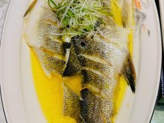 -太湖明珠大酒店(吴中店)