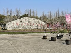 -上海海湾国家森林公园