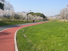 -幸福湖国际会议中心