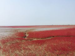 -红海滩国家风景廊道