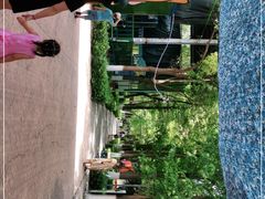 -荆州中山公园动物园