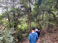 -午潮山国家森林公园