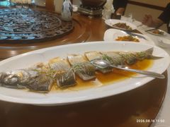 -潇湘甲鱼村(清河店)