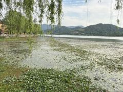 -鸣鹤古镇