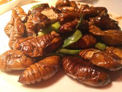-日丰园海肠水饺·老字号大连海鲜(和平广场店)