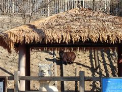 -北京鹿世界主题园