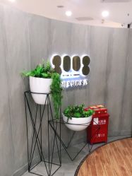 点击看大图 -八佰伴8008星级形象店
